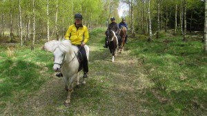 Upplev Brösarps backlandskap och Verkeåns dalgång på rygg! Det finns turridning med både islandshästar och irländska sporthästar. Foto: Jan Hallerby