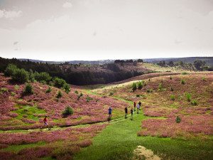 Trailcamp Körsbärsdalen med Stigarna - stig- och löpläger i Brösarps backar.