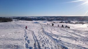 Utsikten är milsvid uppe på toppen av Brösarps norra backar.